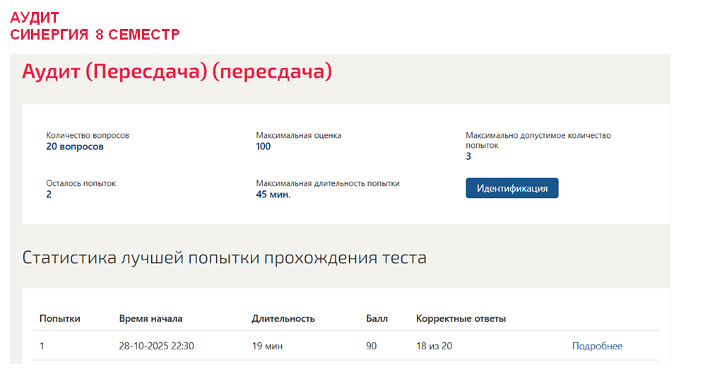 Аудит. 8 семестр. Синергия