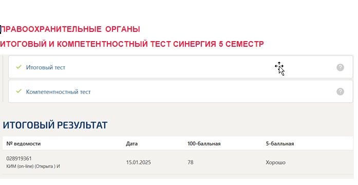 Правоохранительные органы. Итоговый и компетентностный тесты. 5 семестр. Синергия