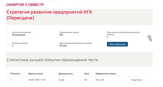 Стратегия развития предприятий НГК. 5 семестр. Синергия