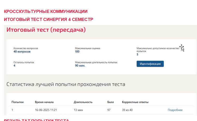 Кросскультурные коммуникации. Итоговый тест. 4 семестр. Синергия