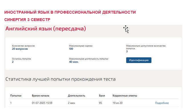Иностранный язык в профессиональной деятельности. 3 семестр. Синергия