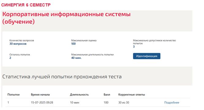 Корпоративные информационные системы. 6 семестр. Синергия