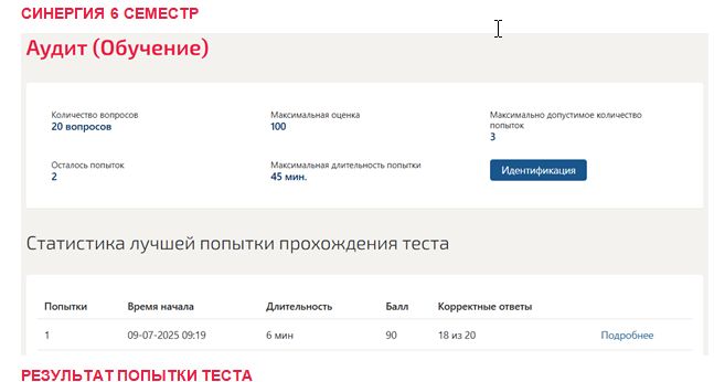 Аудит. 6 семестр. Синергия