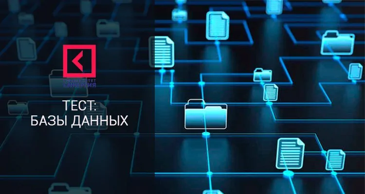 Базы Данных – Тест Синергии