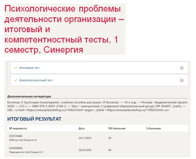 Психологические проблемы деятельности организации – итоговый и компетентностный тесты, 1 семестр, Синергия