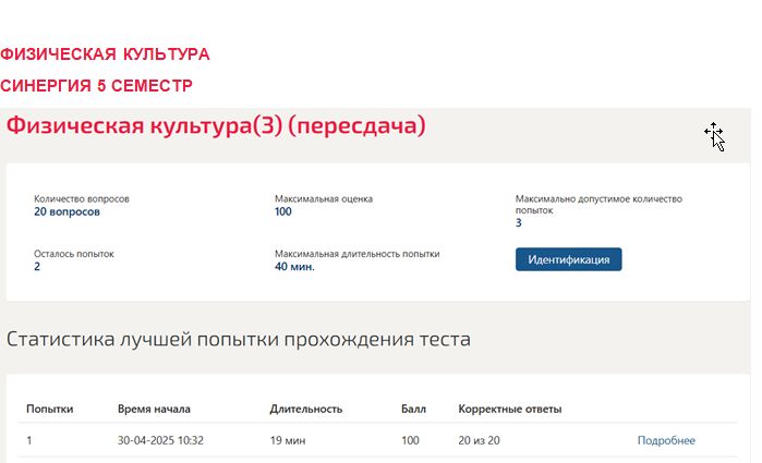 Физическая культура – 5 семестр. Синергия