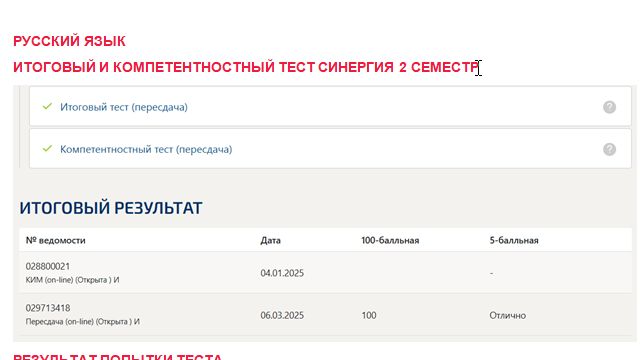 Русский язык. Итоговый и компетентностный тест. 2 семестр. Синергия